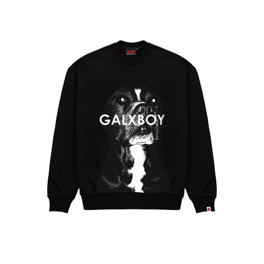 CARROT CREW NECK SWEATER